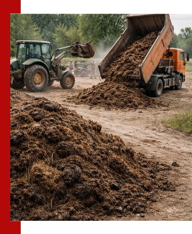 Доставка навоза самосвалами в Печоре для сельхозпотребностей