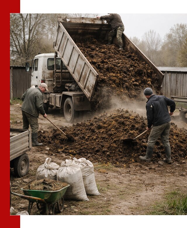 Доставка коровьего навоза самосвалом в Печоре